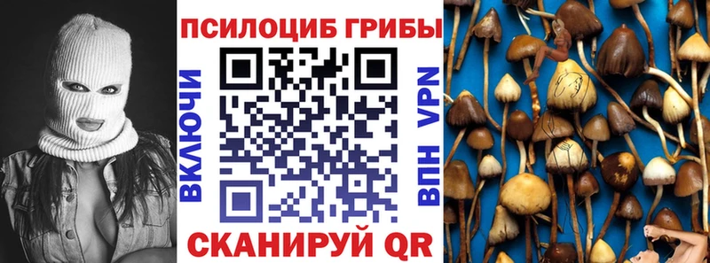 наркошоп  Гуково  кракен сайт  Псилоцибиновые грибы Psilocybe 